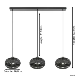 Eglo hanglamp Towcester zwart 3xE27