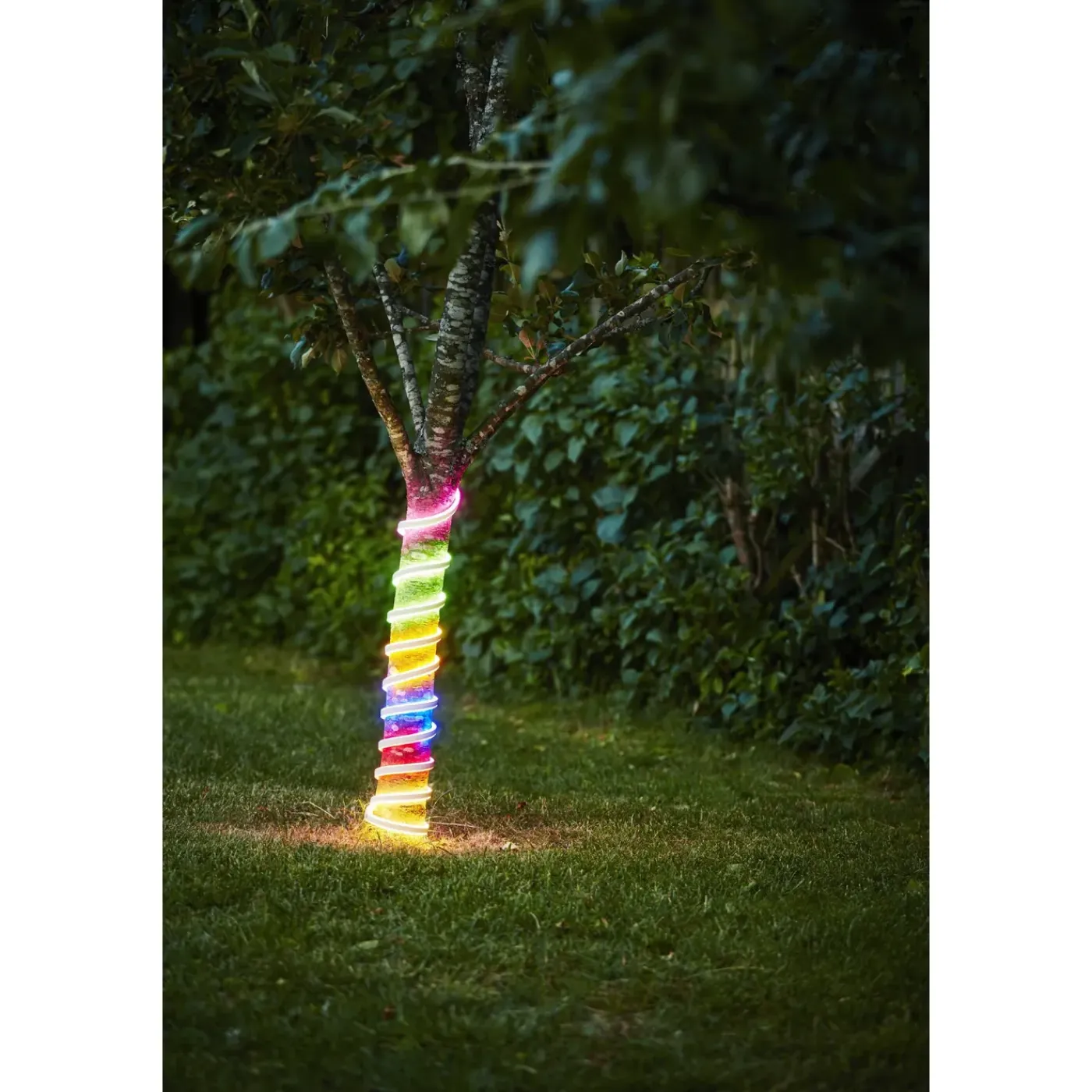 Eglo Ledstrip Flatneonled - 5m - Regenboog - IP44