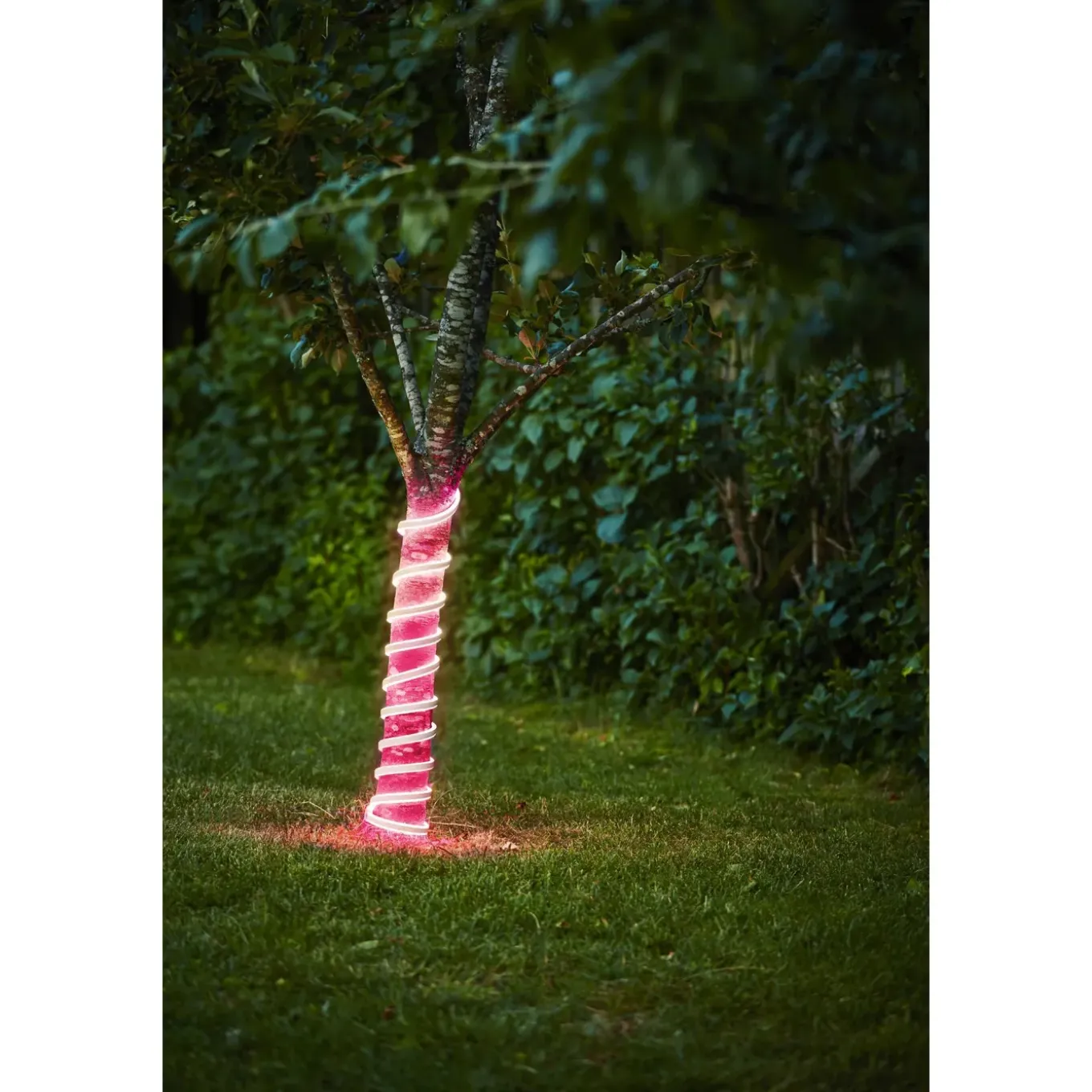EGLO ledstrip FLATNEONLED roze 5m 480x0,2W