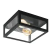 Eglo plafondlamp Alamonte 1 zwart 2xE27