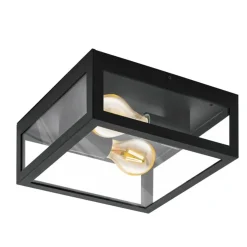 Eglo plafondlamp Alamonte 1 zwart 2xE27