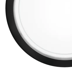 Eglo plafondlamp Planet 1 zwart ⌀29cm E27