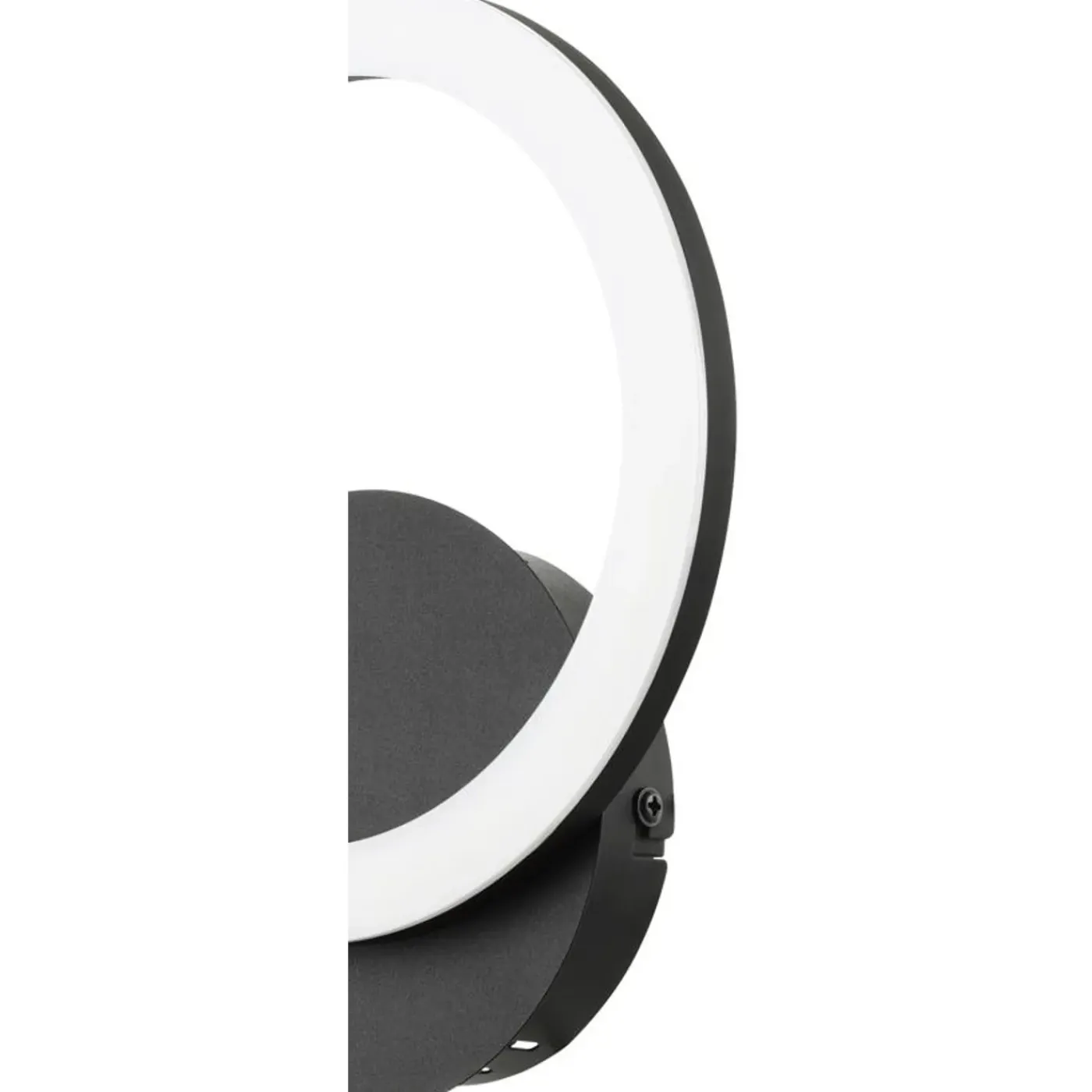 Eglo wandlamp Parrapos-Z zwart 12W
