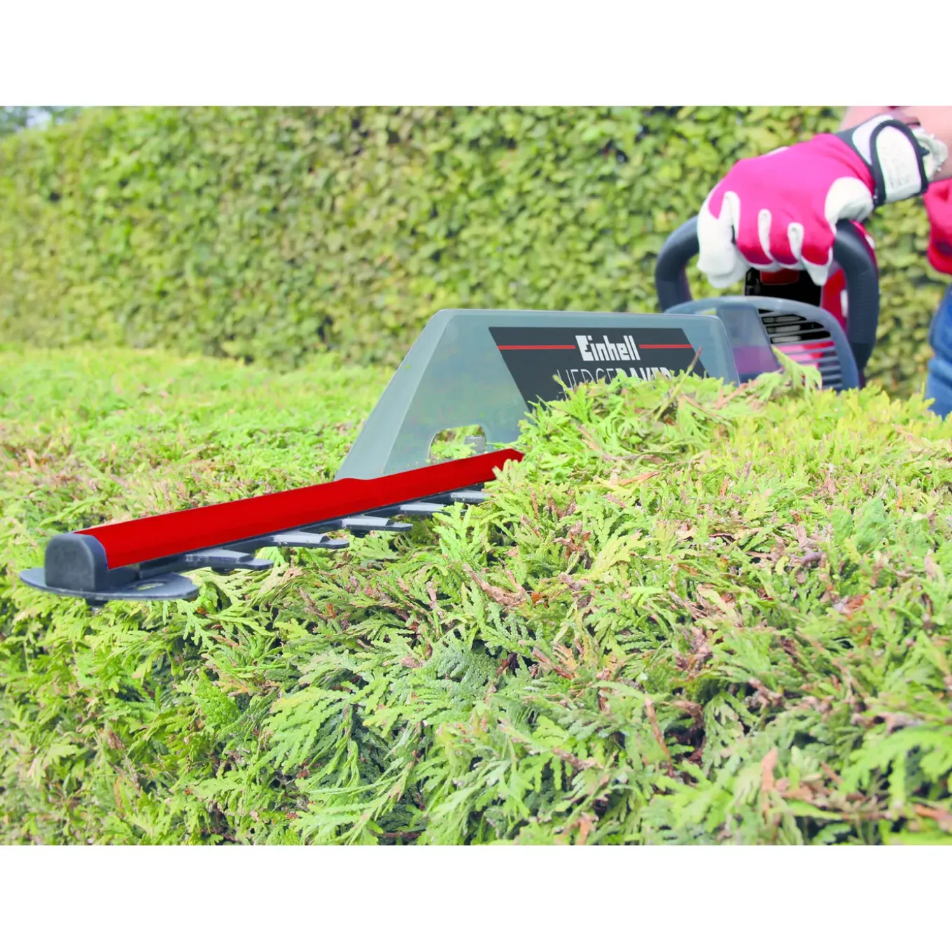 Einhell Heggenschaar Gc-eh 6055/1