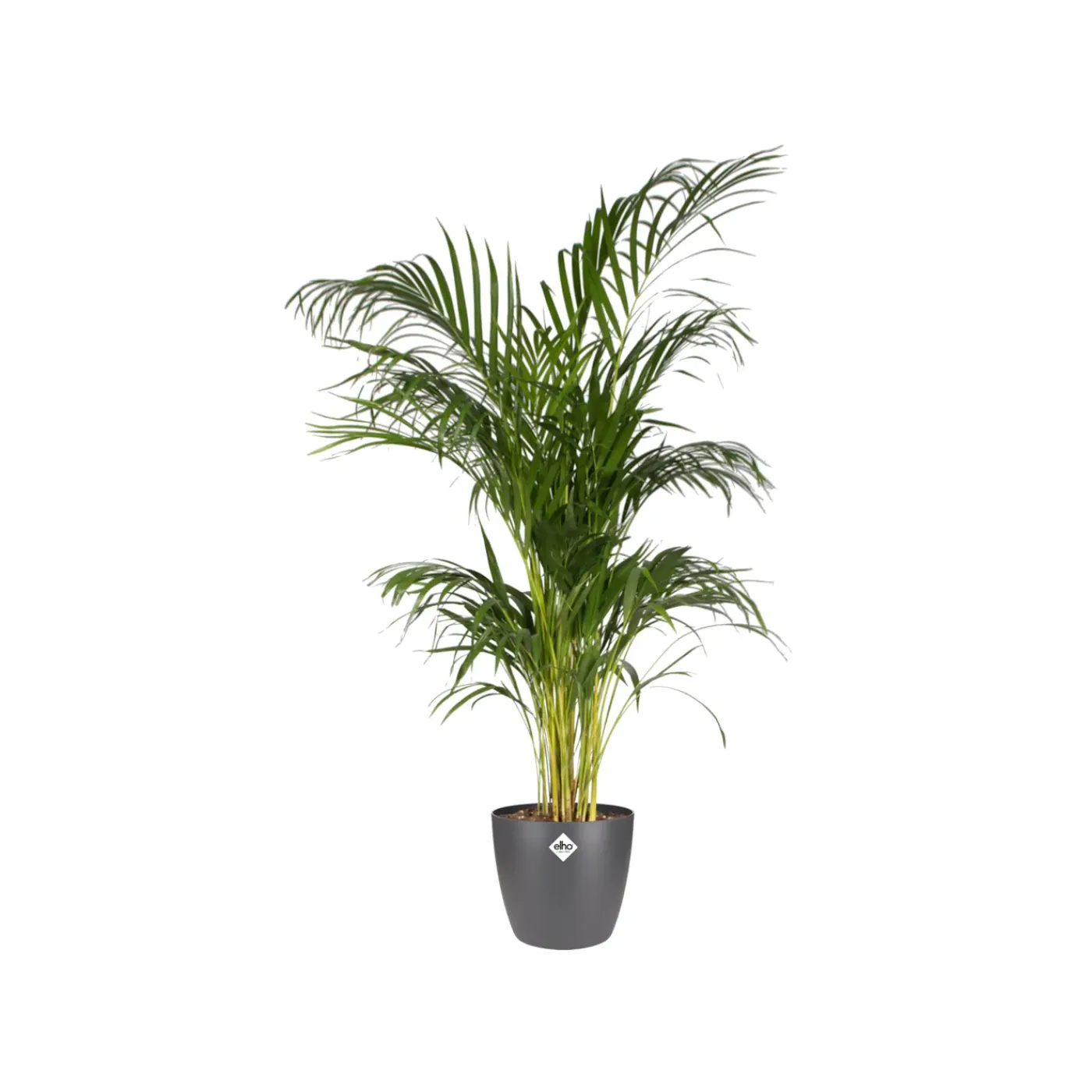 Elho Bloempot Brussels Rond - Kunststof - Zwart - Diam.22xH20,6cm