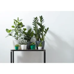Elho Bloempot Brussels Rond Mini - Kunststof - Zwart - Diam.9,5xH8,7cm