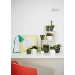 Elho Bloempot Brussels Rond Mini - Kunststof - Zwart - Diam.9,5xH8,7cm