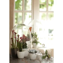 Elho Bloempot Brussels Rond Mini - Kunststof - Zwart - Diam.12,5xH11,5cm