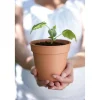 Elho Bloempot Green Basics - Kunststof - Bruin - Diam.30xH27,6cm