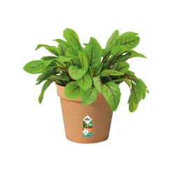 Elho kweekpot Green Basics 13cm mild terra