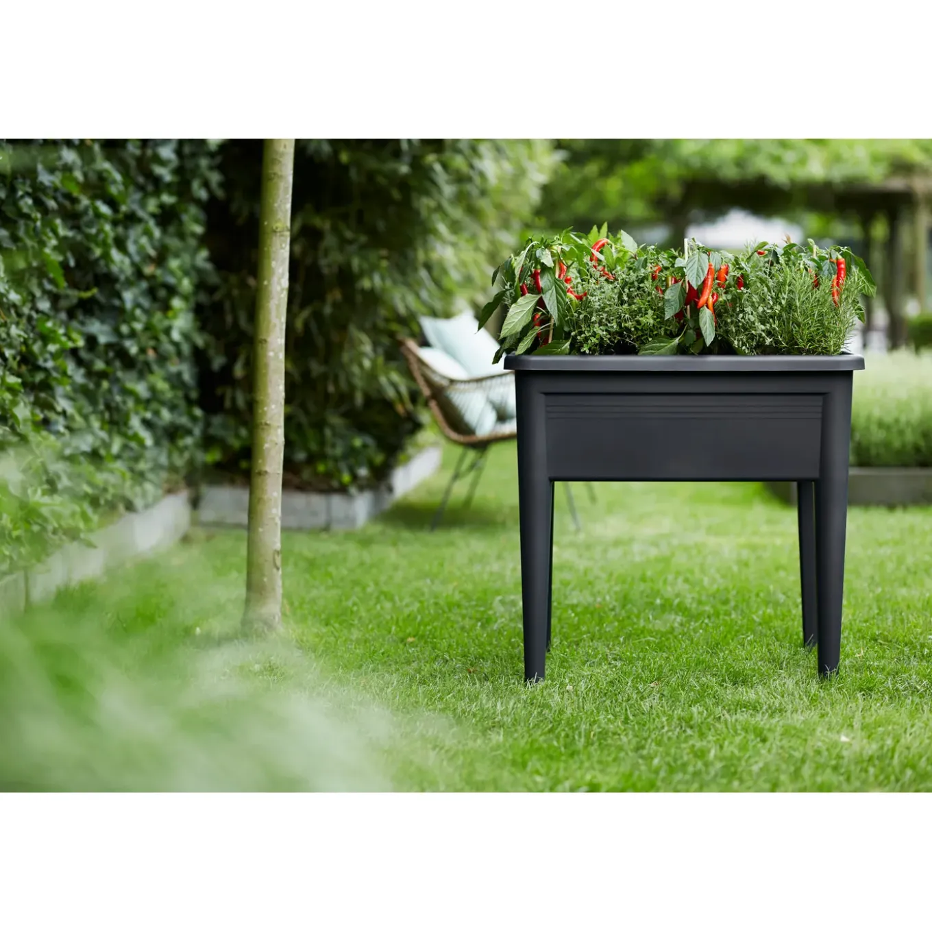 Elho Moestuinbak Green-Basics Super-XXL - Gerecycled-Plastic - Zwart - 56,6x75x22,3cm