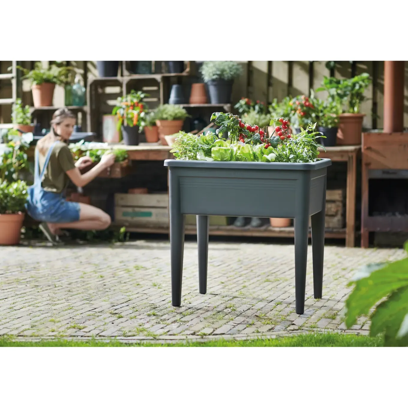 Elho Moestuinbak Green-Basics Super-XXL - Gerecycled-Plastic - Zwart - 56,6x75x22,3cm