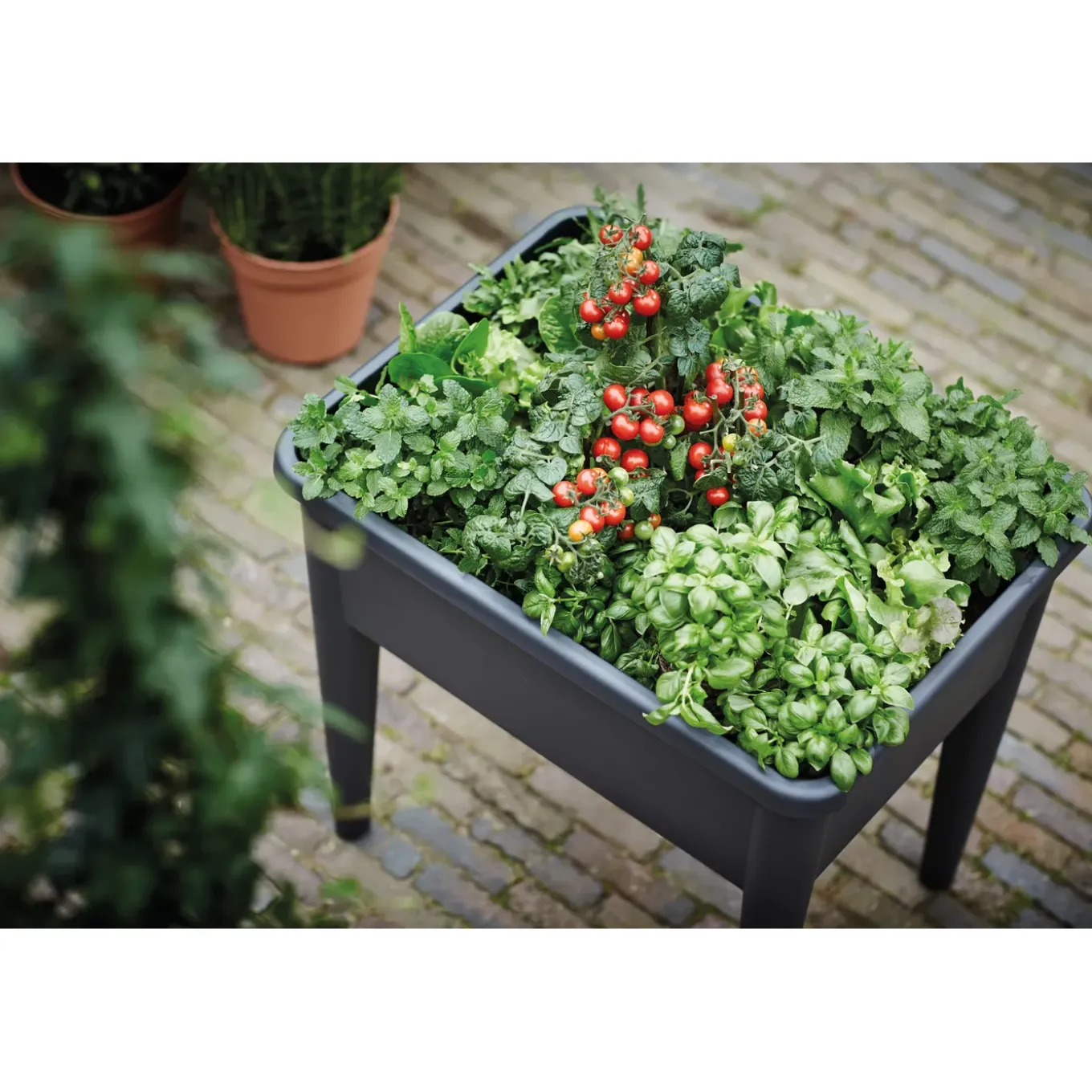 Elho Moestuinbak Green-Basics Super-XXL - Gerecycled-Plastic - Zwart - 56,6x75x22,3cm