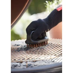 Ergonomic Brush