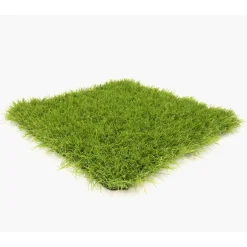 Overig Exelgreen kunstgras Azaro 40 mm/2x3m