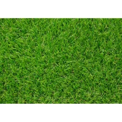 Overig Exelgreen kunstgras Meadow 4cm recyclebaar 2x3m