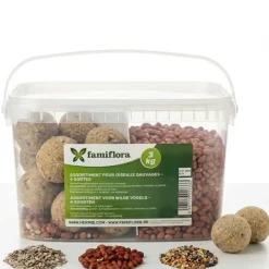 Famiflora Assortiment Voor Wilde Vogels - 2 Emmers - 6kg (2 X 3kg) - 4 Soorten Voer - Mixpakket