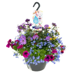 Overig Festival Colours in hangpot ⌀27xH30cm
