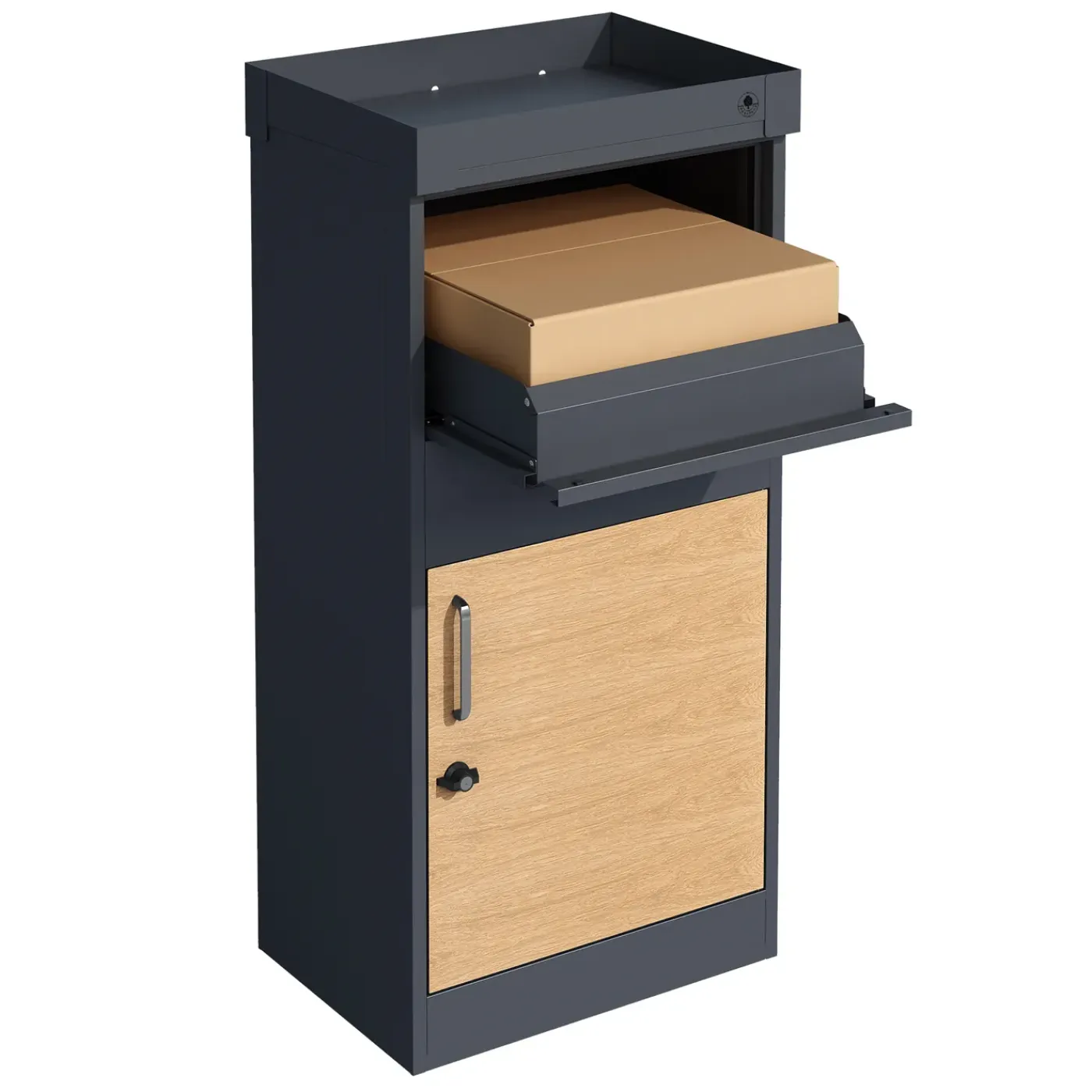 4gardenz Pakketbrievenbus Xxl Met Slot - Pakketbox Extra Groot - Antraciet Met Houtlook