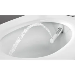 Geberit Aquaclean Sela Douche-wc – Oriëntatielicht & Ladydouche – Wit, Designafdekking Wit
