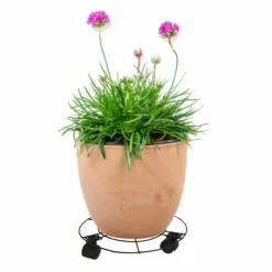 Gerimport Planten Trolley - Multiroller - Rond - Zwart - 25 Cm