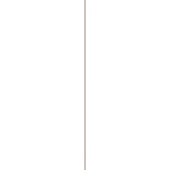 Overig Geschaafde Plank - Roodbruin - Meranti - 9x117mm - 210cm