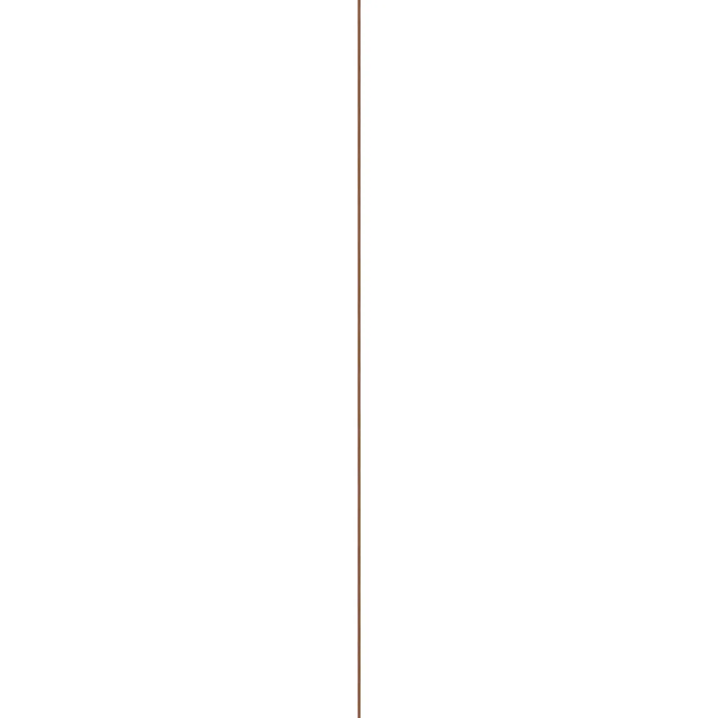 Overig Geschaafde Plank - Roodbruin - Meranti - 9x117mm - 210cm