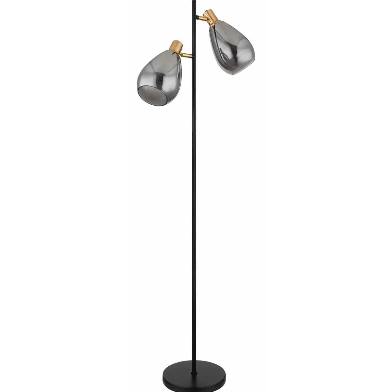 Globo Vloerlamp Fanni metaal zwart 2x E27