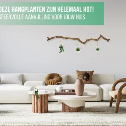 Greendream Kunstplanten - 3 Stuks Hangplanten In Hanger - Cadeautip