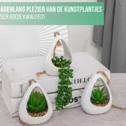 Greendream Kunstplanten - 3 Stuks Hangplanten In Hanger - Cadeautip