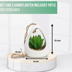 Greendream Kunstplanten - 3 Stuks Hangplanten In Hanger - Cadeautip