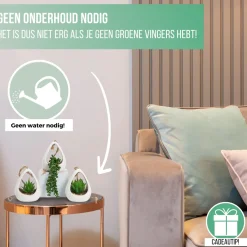 Greendream Kunstplanten - 3 Stuks Hangplanten In Hanger - Cadeautip