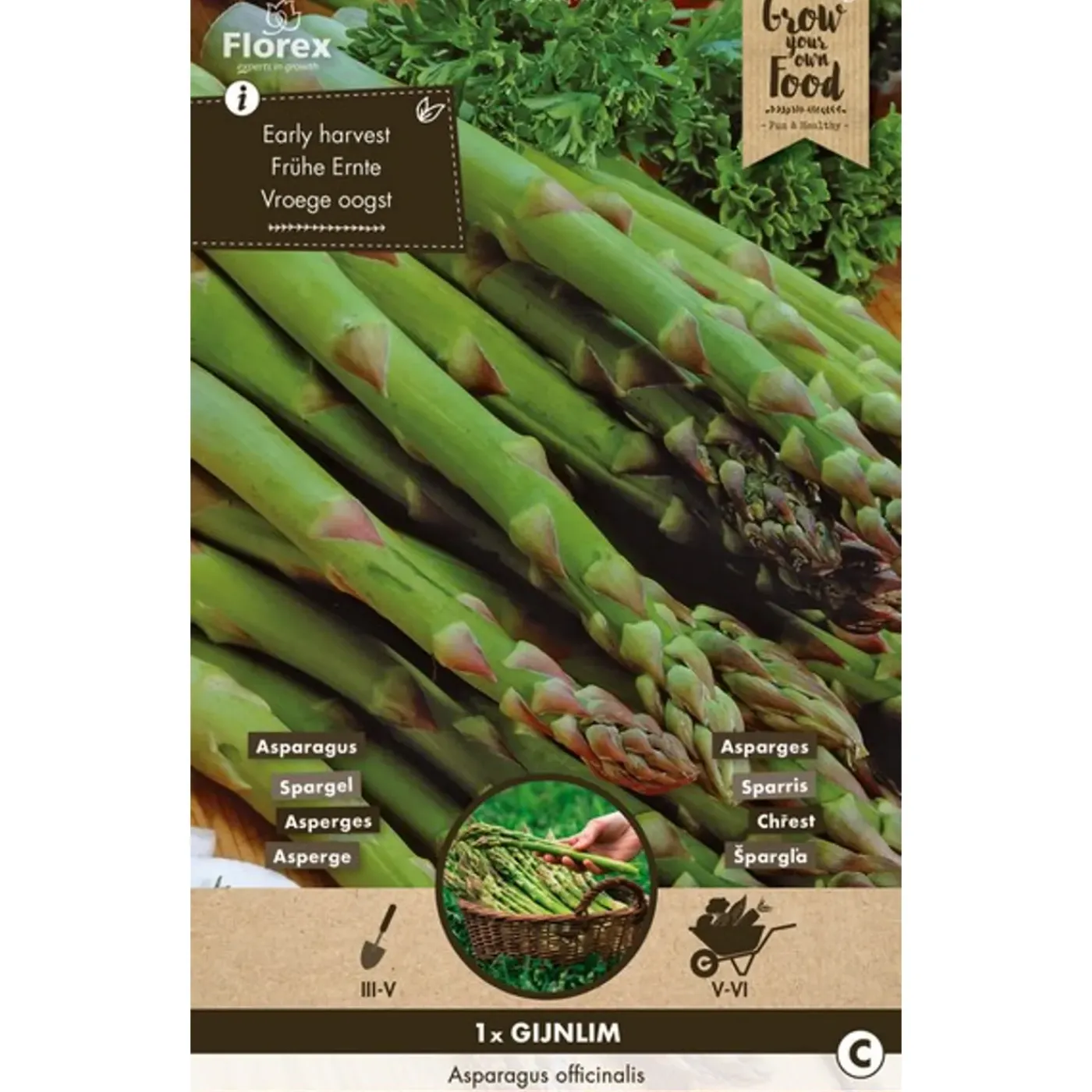 Overig Groentezaden Asperge - Gijnlim - 200g