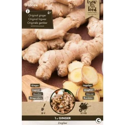Groentezaden Gember - 1 - 200g