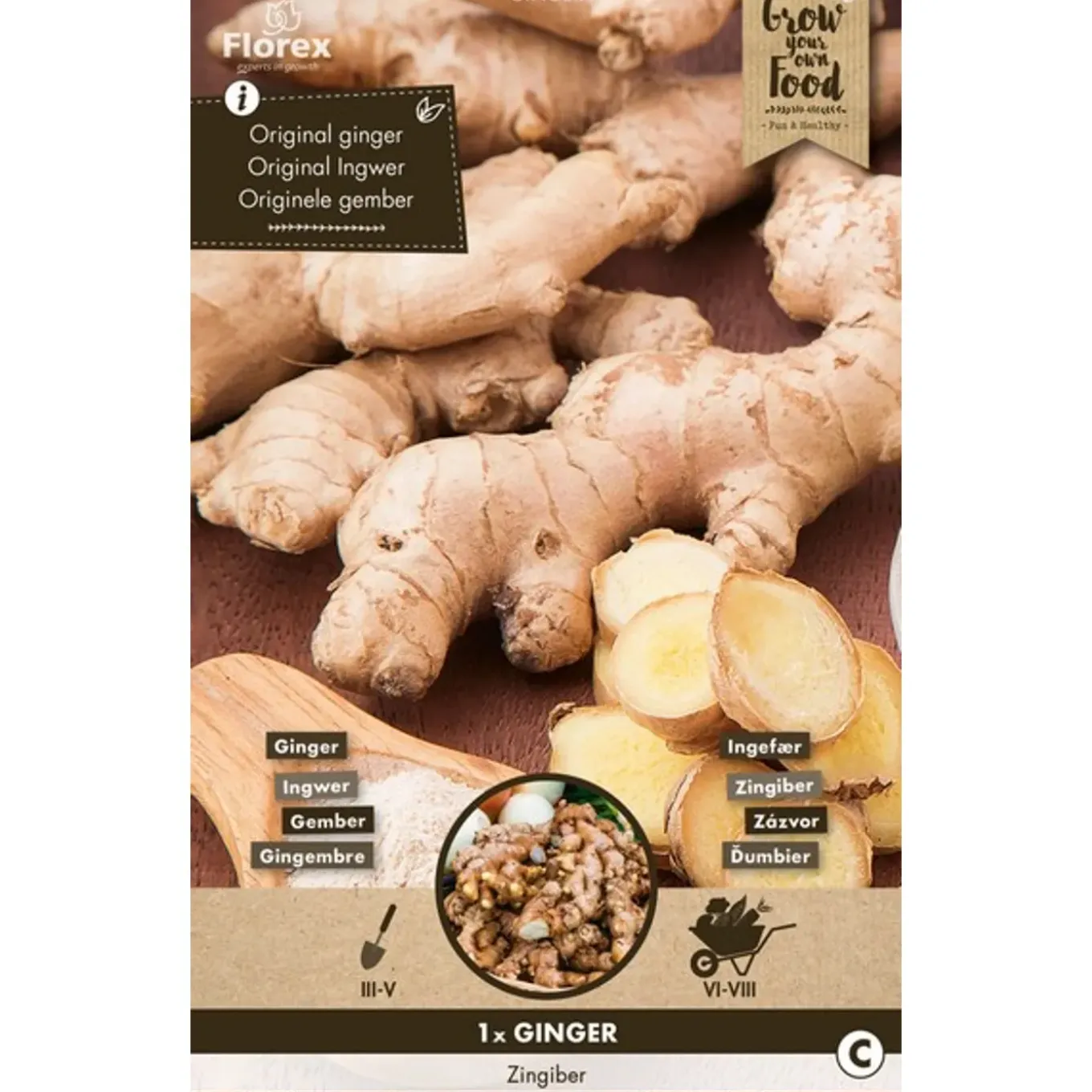 Groentezaden Gember - 1 - 200g