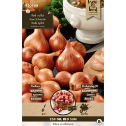 Groentezaden Sjalotten - Red Sun - 250g