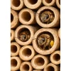 HEM Insectenhotel Hout 37 Cm Grijs – Bijenhotel & Insectenhuis – Grenenhout