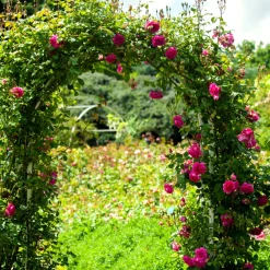 Hixa Rozenboog 240x140cm Klimboog Tuindecoratie Tuinafscheiding Klimplantgeleider Metalen Frame...