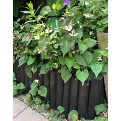 Houten Borderrand - Grenen - 30x180cm