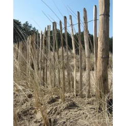 Intergard - Engels Schapenhek Hazelaar 80cmx10m Latafstand 7-8 Cm