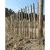 Intergard - Engels Schapenhek Hazelaar 120cmx10m Latafstand 7-8 Cm