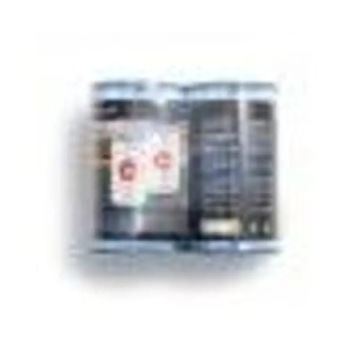 Intex Spa Filterpatronen S2 - 2 Stuks - 18,1x8,89x15,88cm