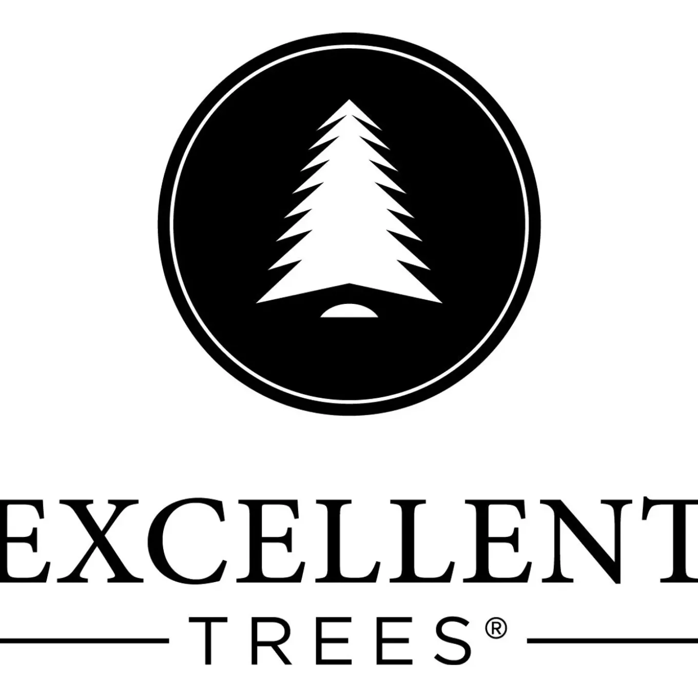 Kerstboom Excellent Trees Led Stavanger 120 Cm Met Verlichting