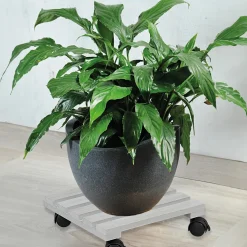 Kesper Plantenpot Trolley - Hout - Grijs - 30 X 30 Cm