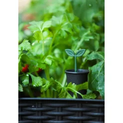 Keter moestuinbak Easy Growing zwart 114x49,3x75,7cm