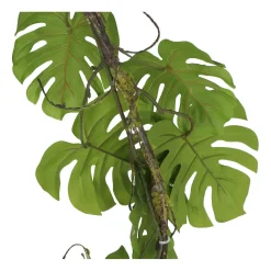Kopu Hangplant Split Philodendron 119 Cm - Macramé Plantenhanger Xl