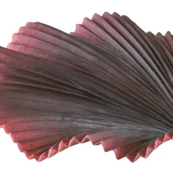 Kopu Palmboom 100 Cm Donkerrood In Een Zwarte Plastic Pot - Kamerplant