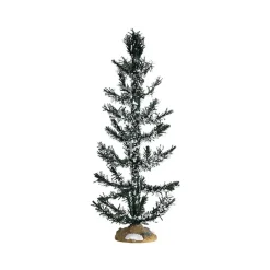 LEMAX - White pine large