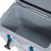 Lifetime Koelbox Premium 27 Liter Lb90911 - 33x55x41cm - Grijs