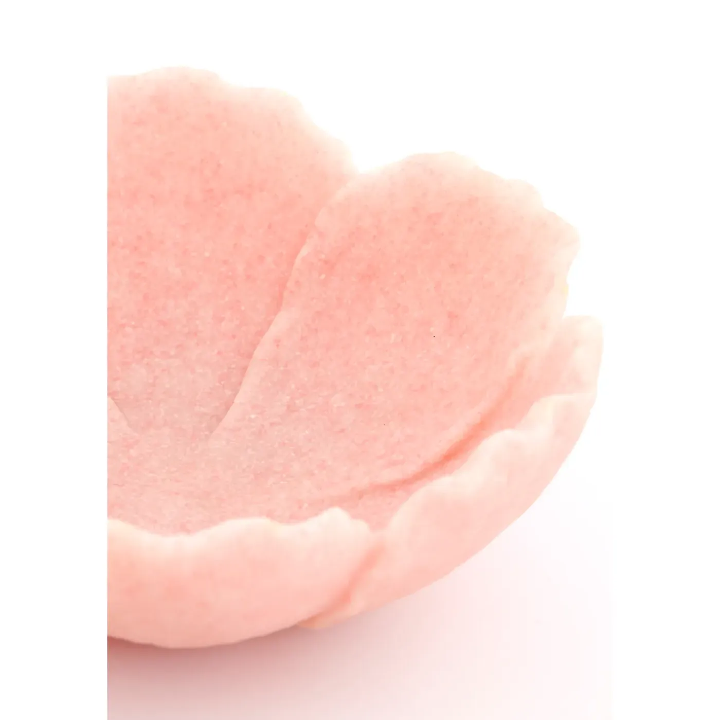 Light & Living - Schaal - FRESIA - Roze - 25.5x24x9.5 cm